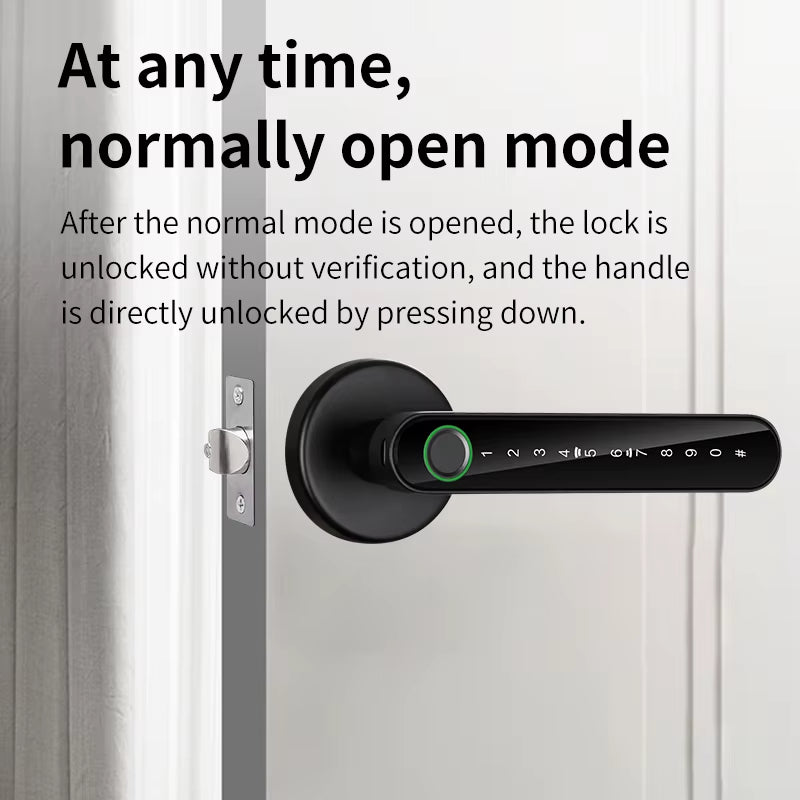 Tuya Smart Fingerprint Electronic Door Lock with Password, Key, Card Unlock, and App Integration