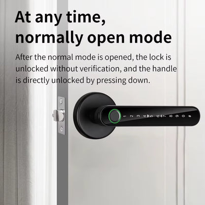 Tuya Smart Fingerprint Electronic Door Lock with Password, Key, Card Unlock, and App Integration